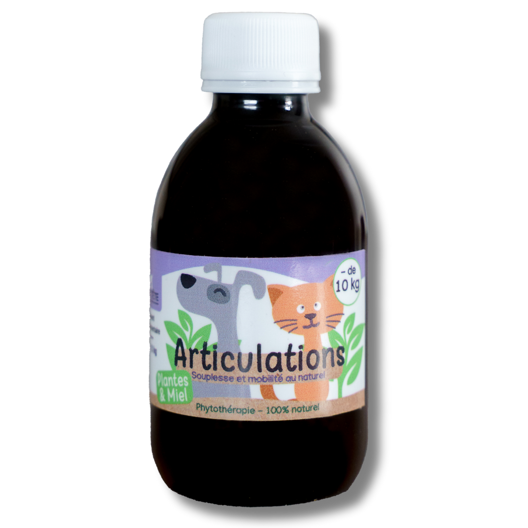 Natural Joint Syrup 200mL â Dogs and Cats under 10kG