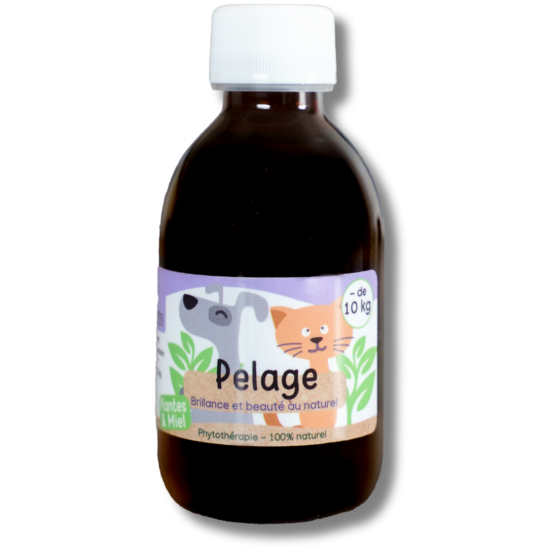 Natural Coat Syrup 200 mL - Dogs and Cats under 10kG