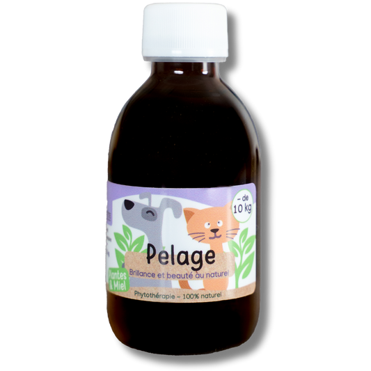 Natural Coat Syrup 200 mL - Dogs and Cats under 10kG